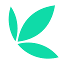 Bamboo logo