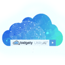 Bidgely logo