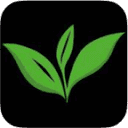Pure Leaf logo