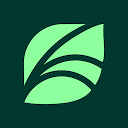 Spring Health logo