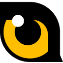 TigerEye logo